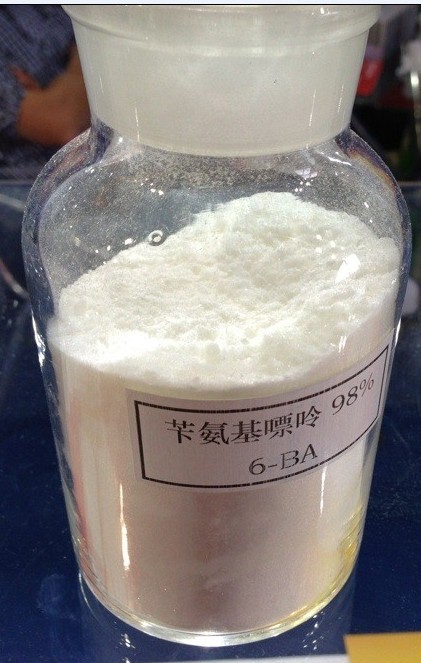 98% 6-芐氨基嘌呤（6-BA）原藥